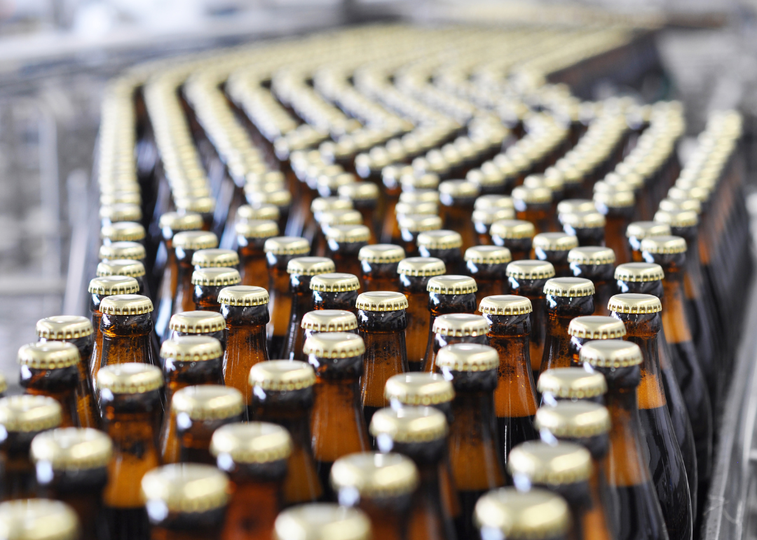 Bottles of beer gathered on a conveyer belt.