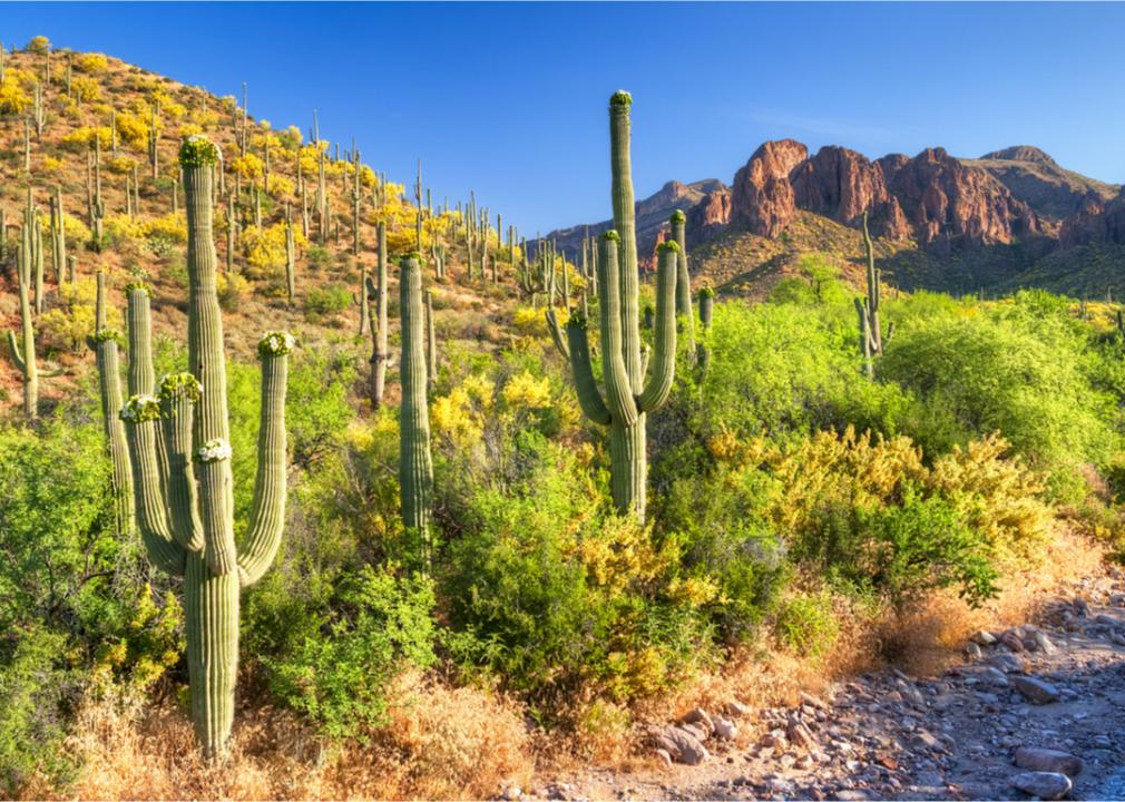 What Spring Looks Like in Every State