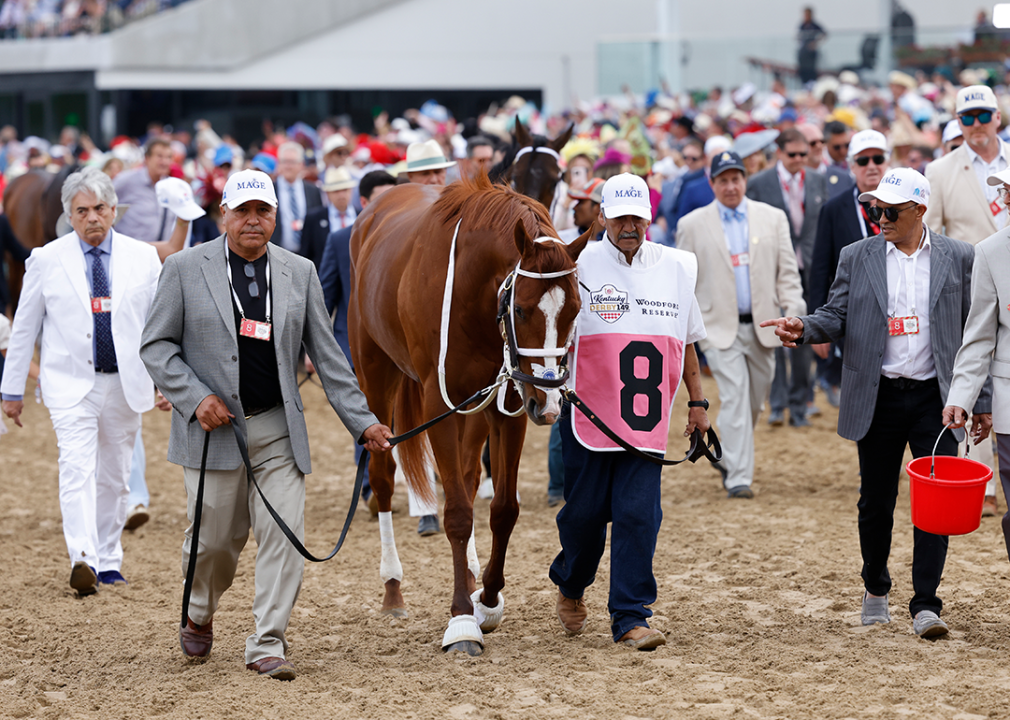 Mage #8 on a parade lap prior to the 149th running of the Kentucky Derby.