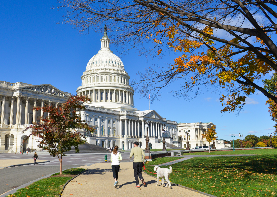 People walking dog by Capitol Building.