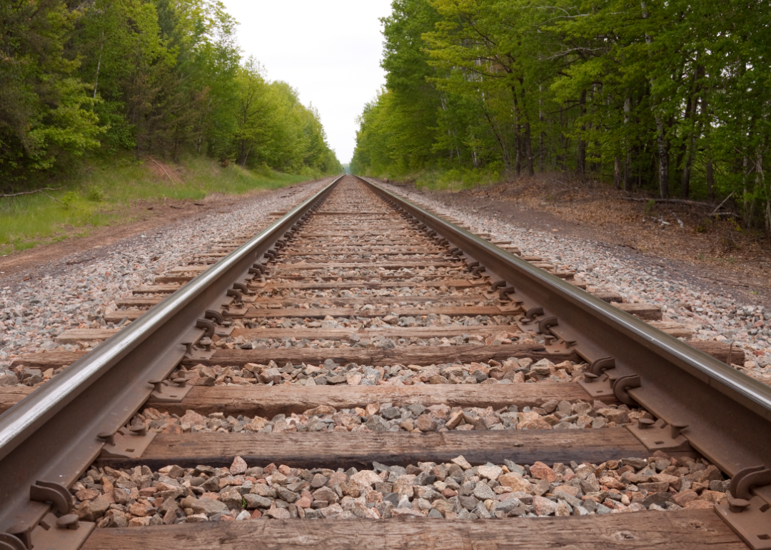 Old railroad track in woods.