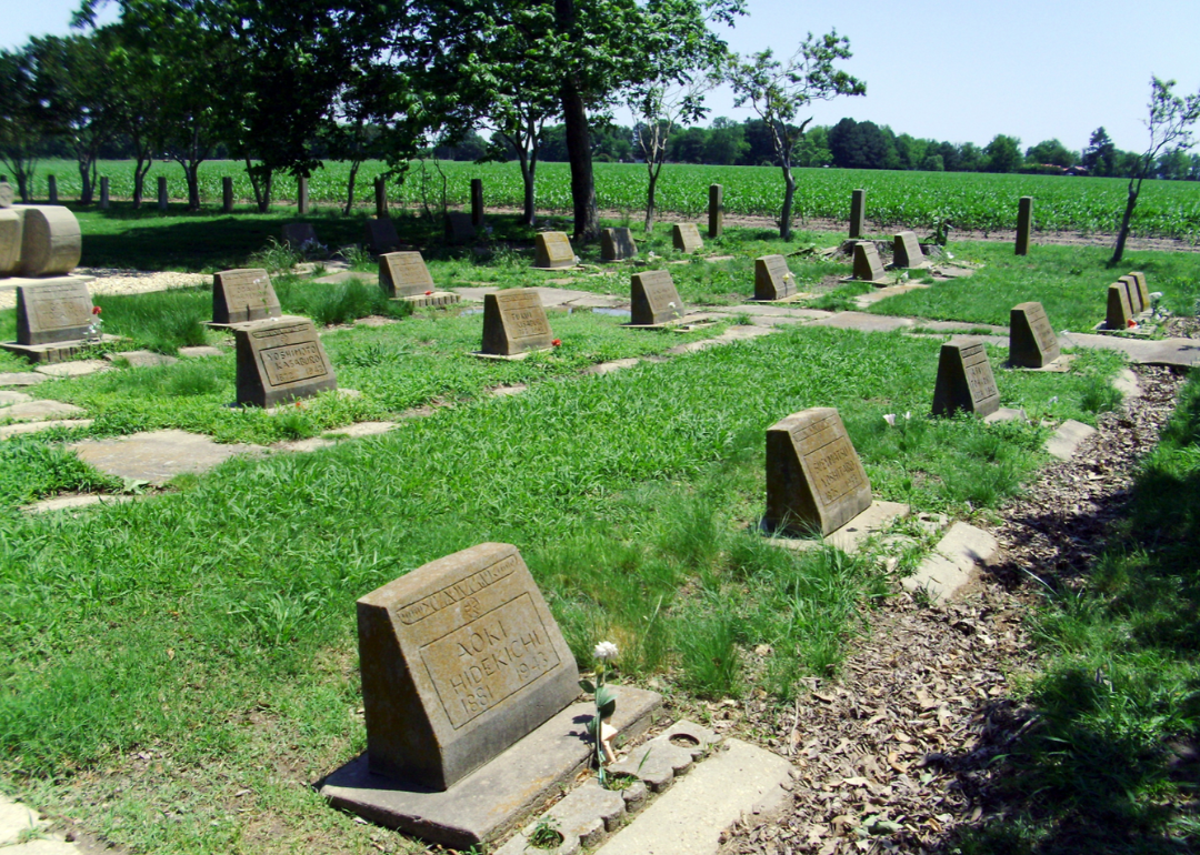 Gravestones at Rohwer War Relocation Center
