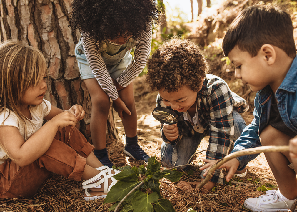 Kids playing together in the woods.