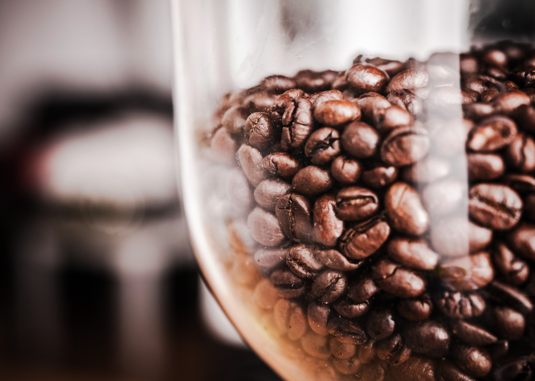 Detail of roasted beans in grinder hopper.