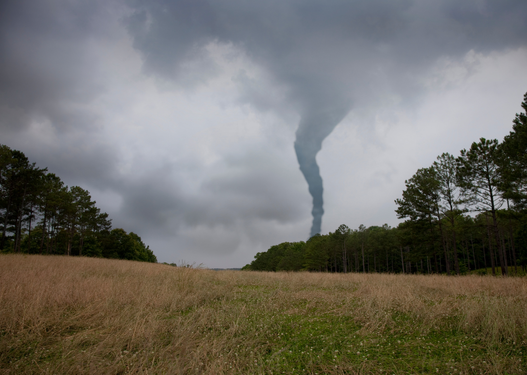 Stacker compiled a list of the biggest tornadoes in Georgia over the past decade using data from NOAA.