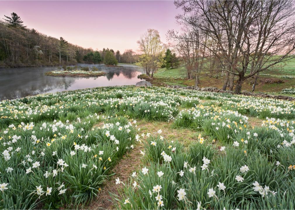 What Spring Looks Like in Every State