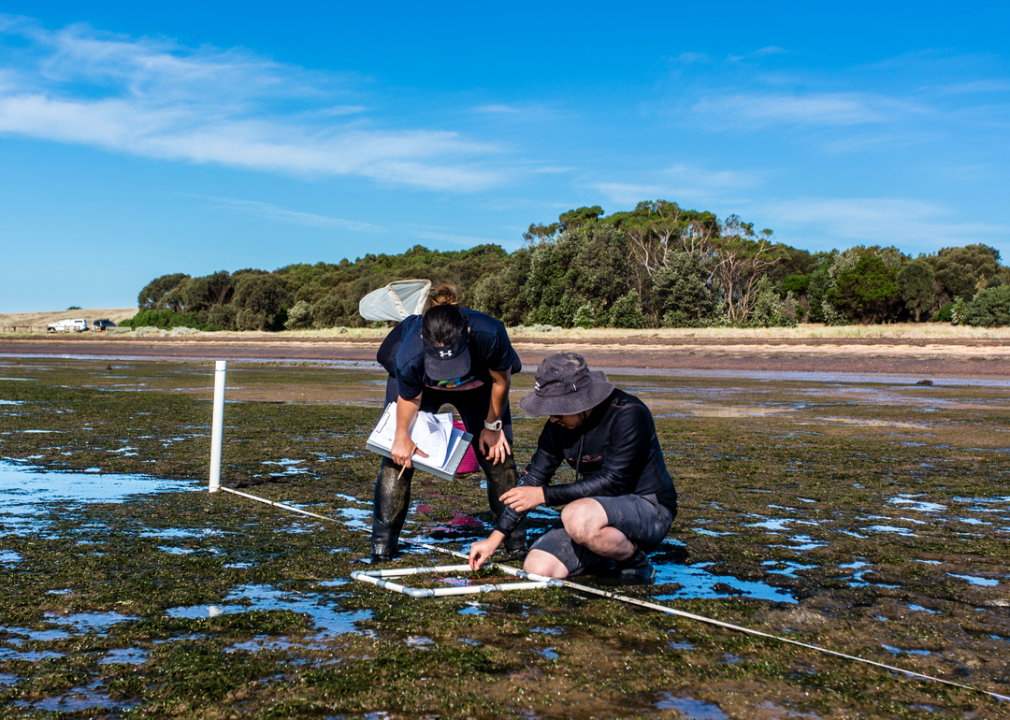 Researchers examine a tide pool.