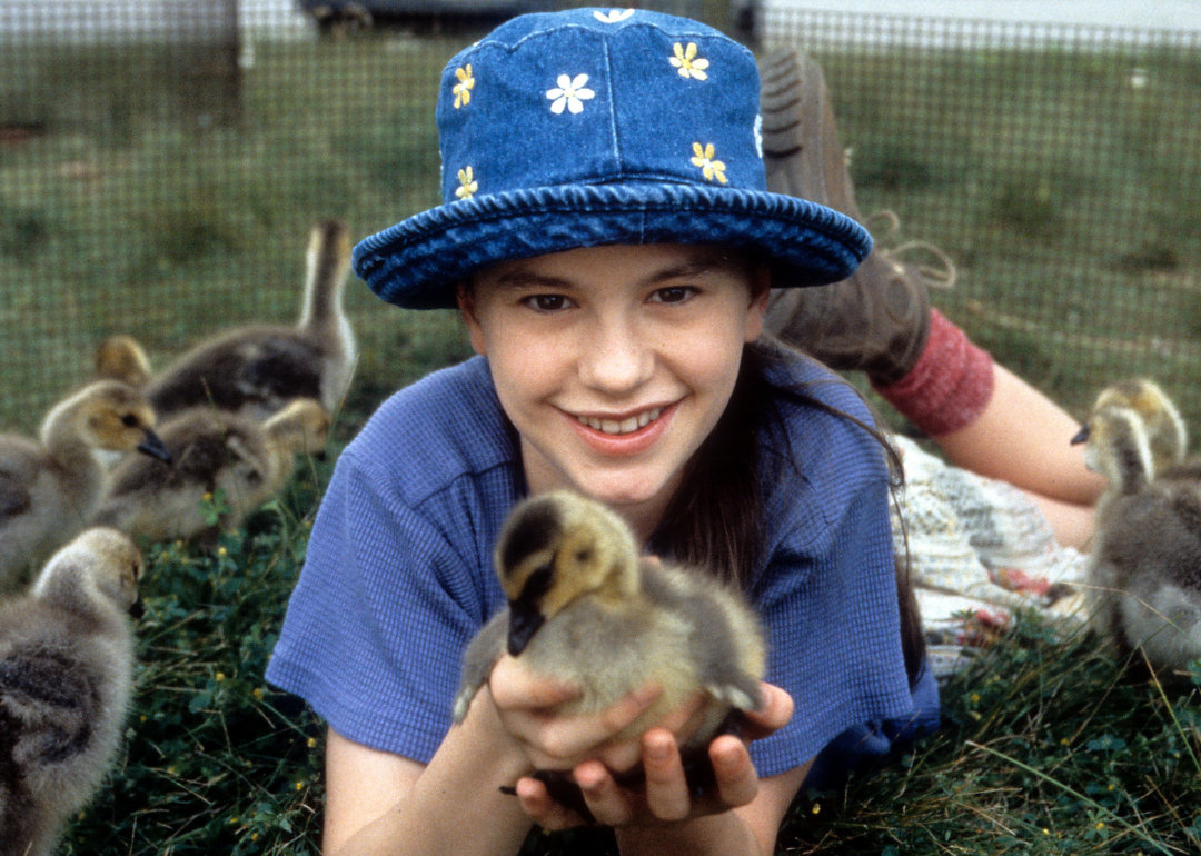 Anna Paquin holding a baby goose in a scene from 'Fly Away Home’.