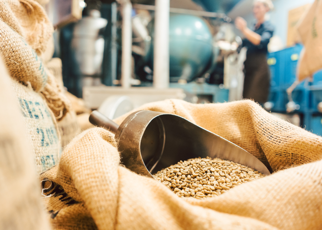 Unroasted coffee beans in burlap sack.