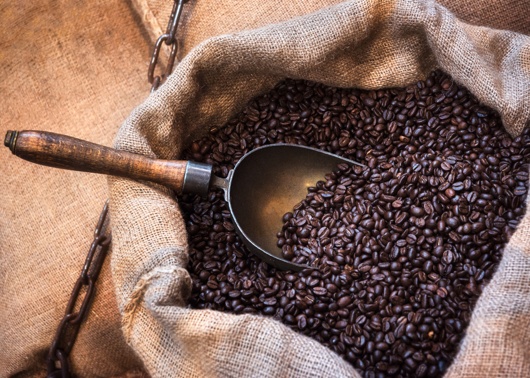 Roasted coffee beans in burlap sack.