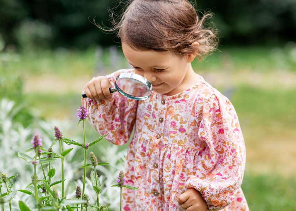 Toddler with magnifying glass in garden.