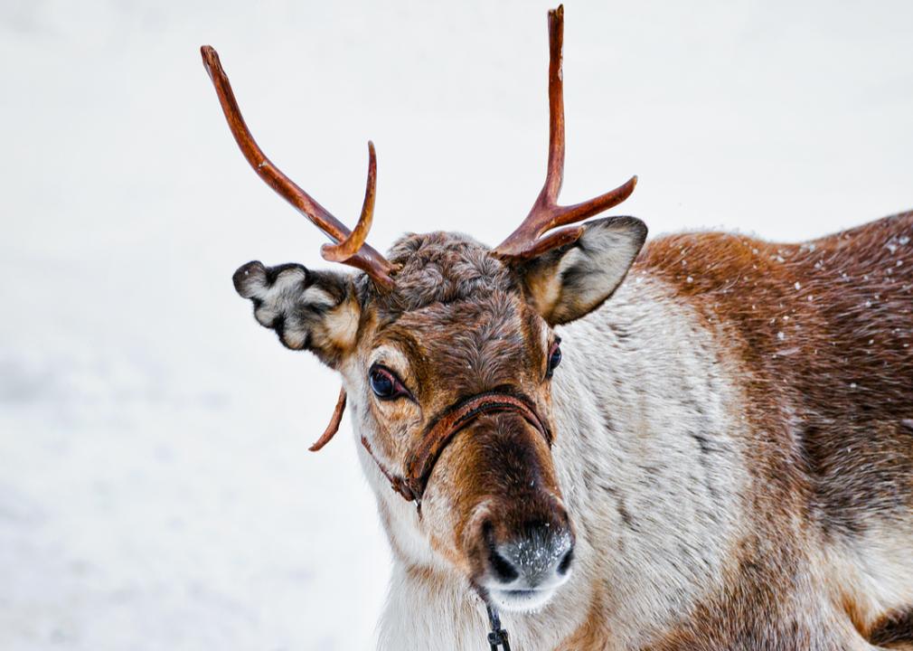 The names of these 2 Arizona towns get us in the holiday spirit