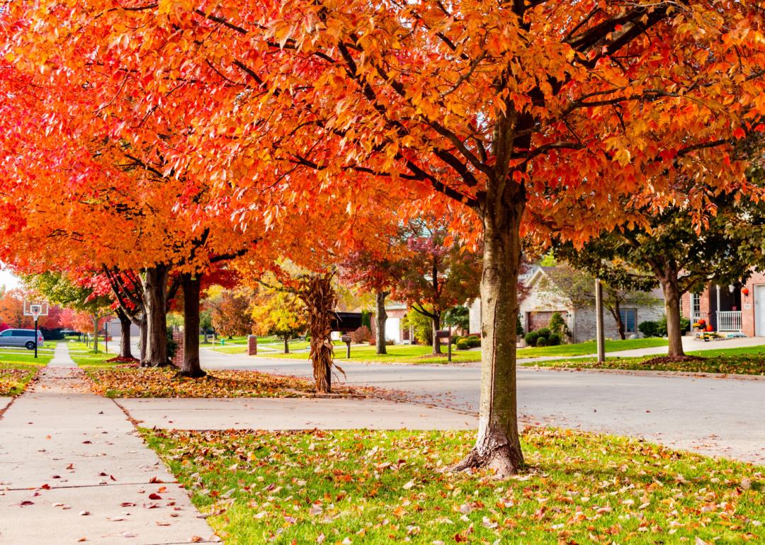 Neighborhood sidewalk in autumn.
