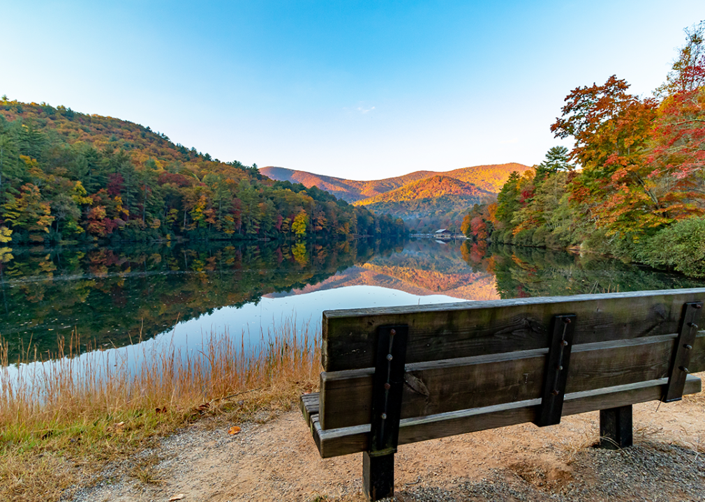 View of bench and lake in Vogel State Park.
