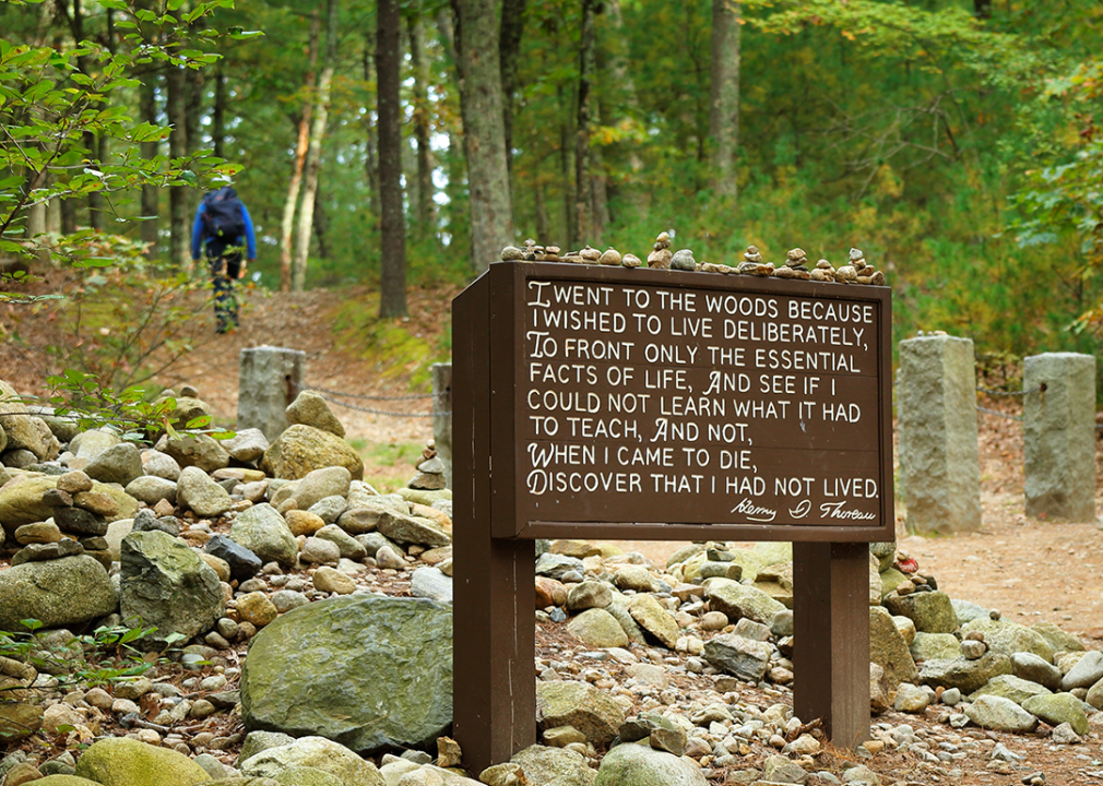 A sign with Thoreau's description of living by the shores of Walden Pond.