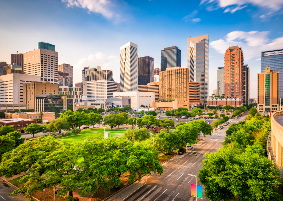 Houston skyline and park.