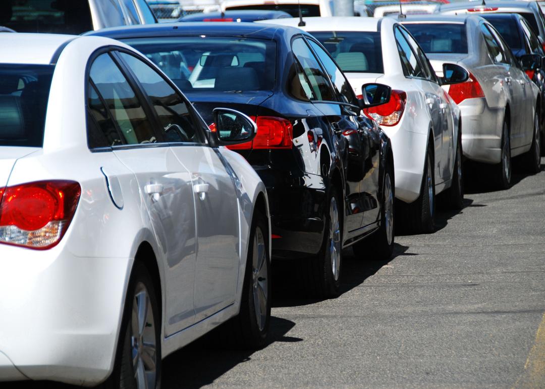 Row of white and black cars from behind.