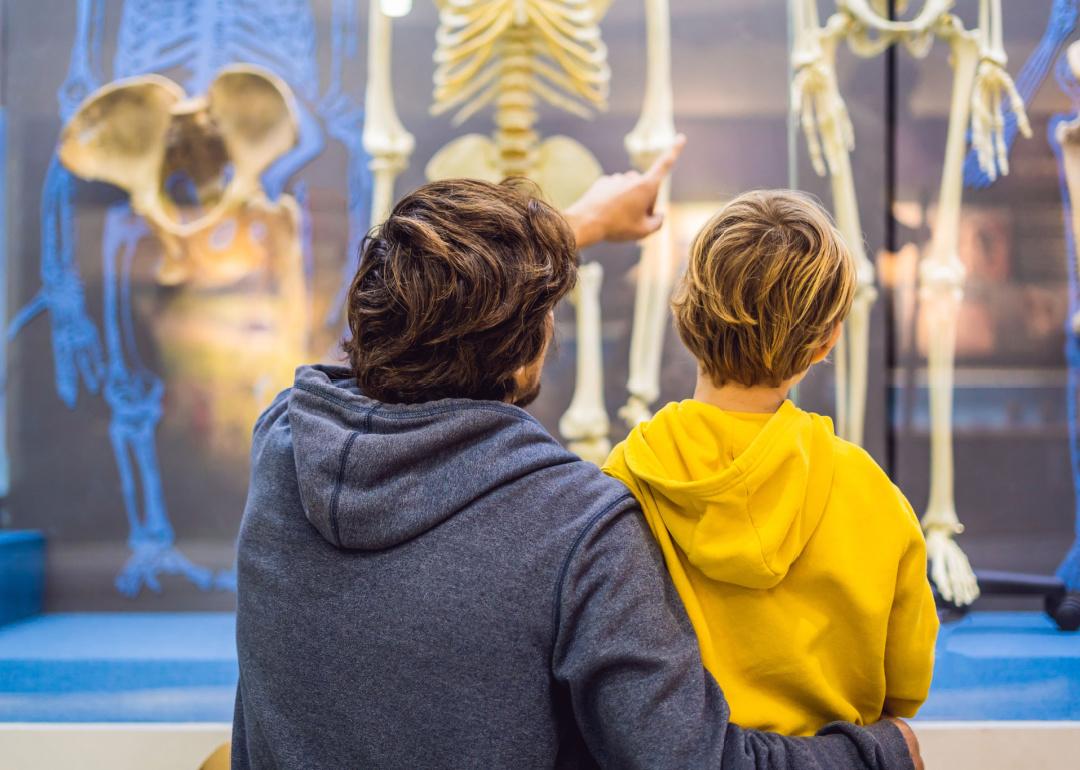 Father and son look at skeletons in museum exhibit.