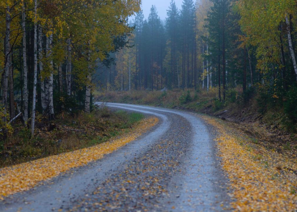 Foggy curving rural road in autumn.