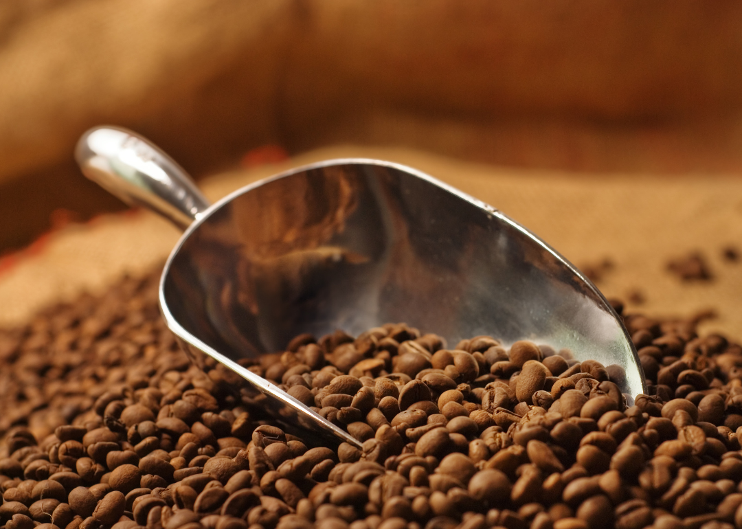 Metal scoop in bag of coffee beans.