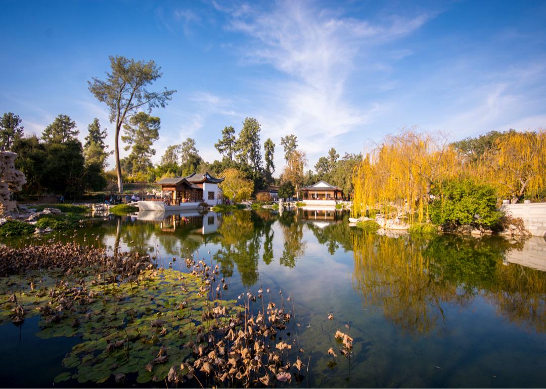 Japanese Garden