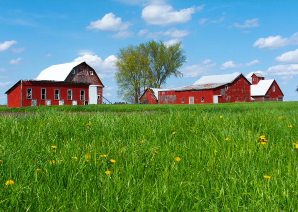 What Spring Looks Like in Every State