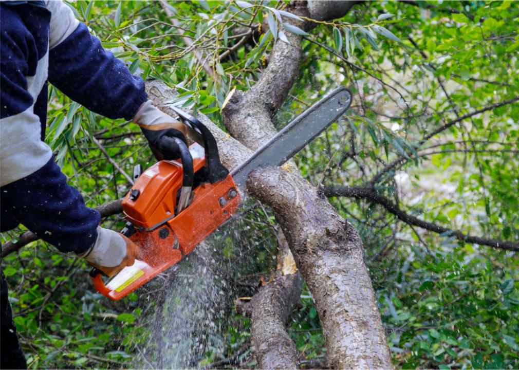 Photo shows a close-up of a hand holding a chain saw cutting a downed tree