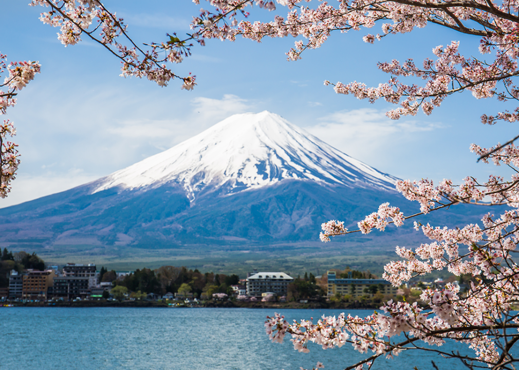 Mount Fuji  at Lake Kawaguchiko with cherry blossoms framing the view.