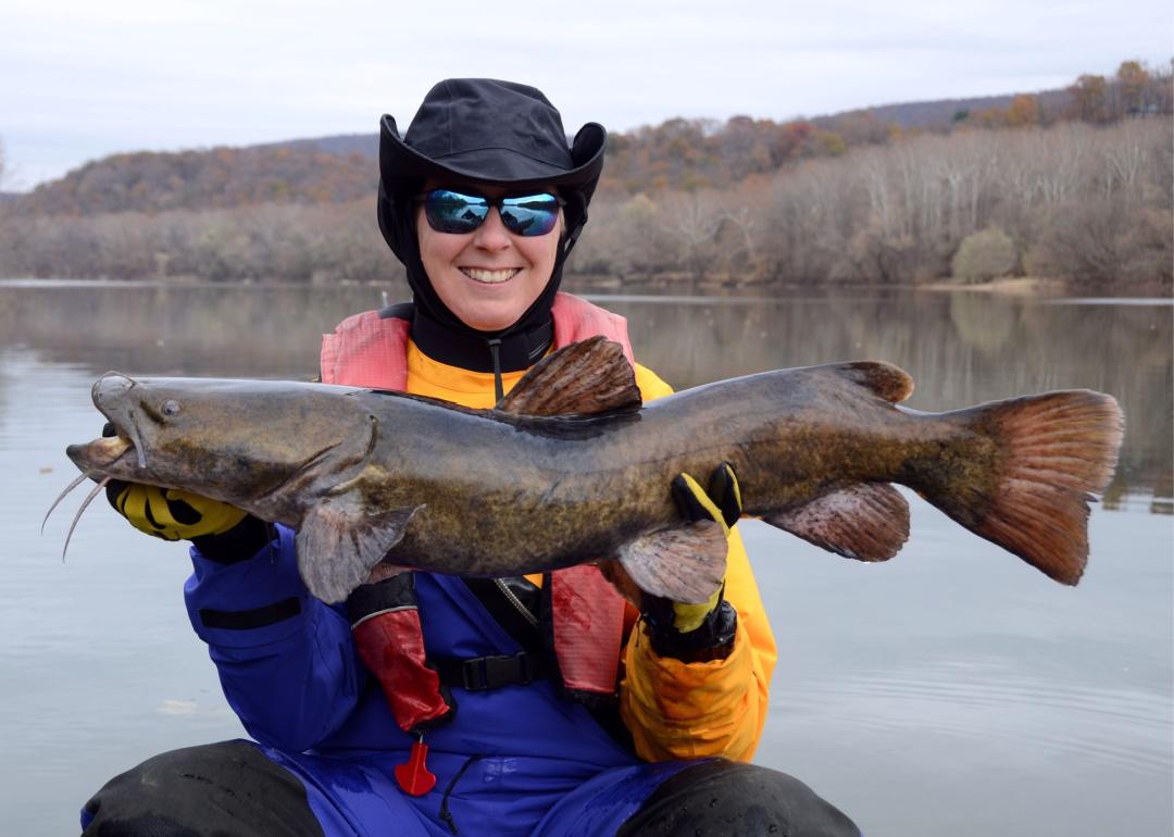 Person holding a flathead catfish