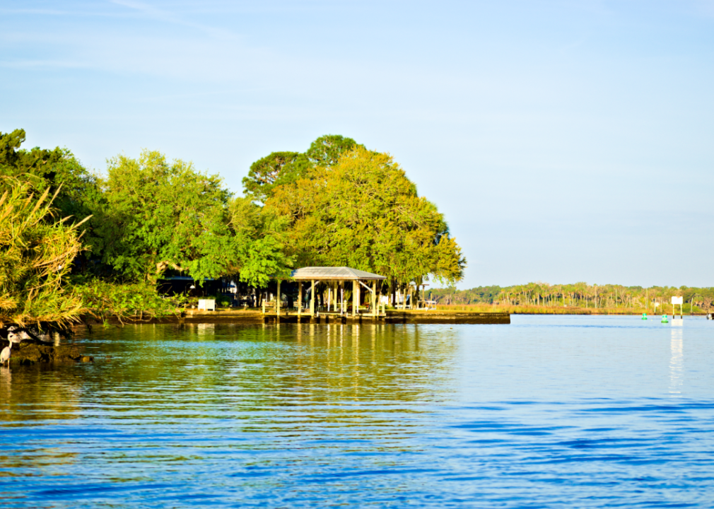 #3. Homosassa Springs, Florida