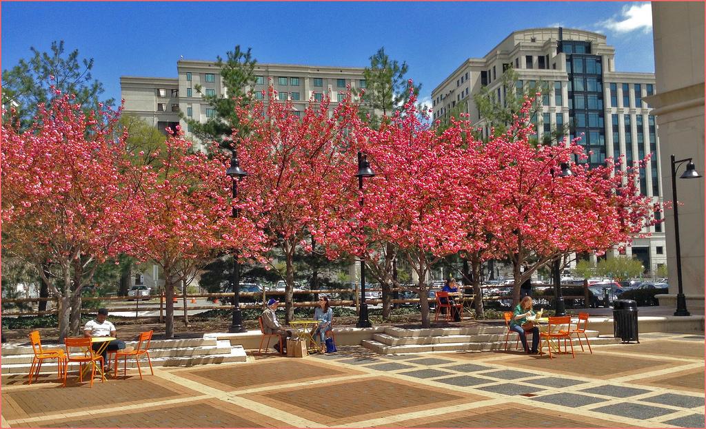 #14. Arlington, VA