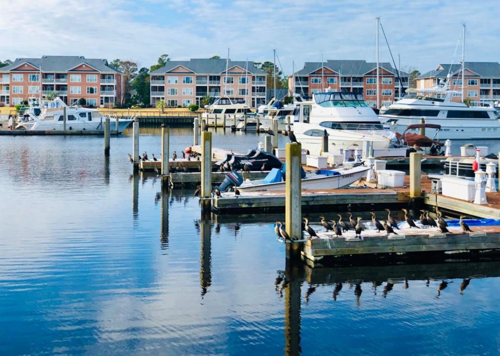 Myrtle Beach Yacht Club at Coquina Harbor.