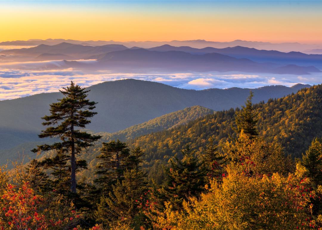 Sunrise over the Great Smoky Mountains.
