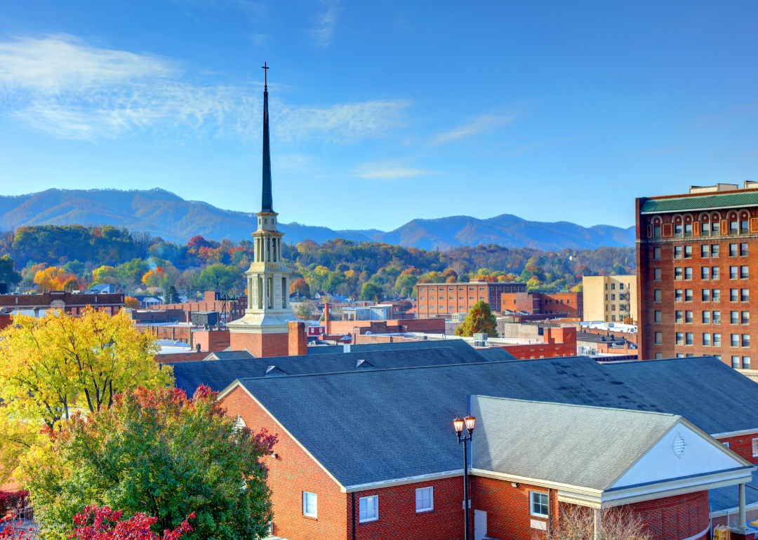 #5. Johnson City