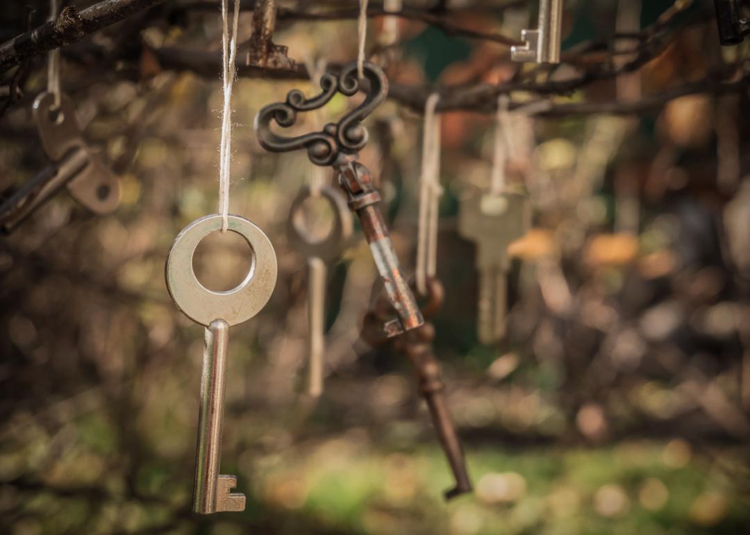 Vintage keys hanging.