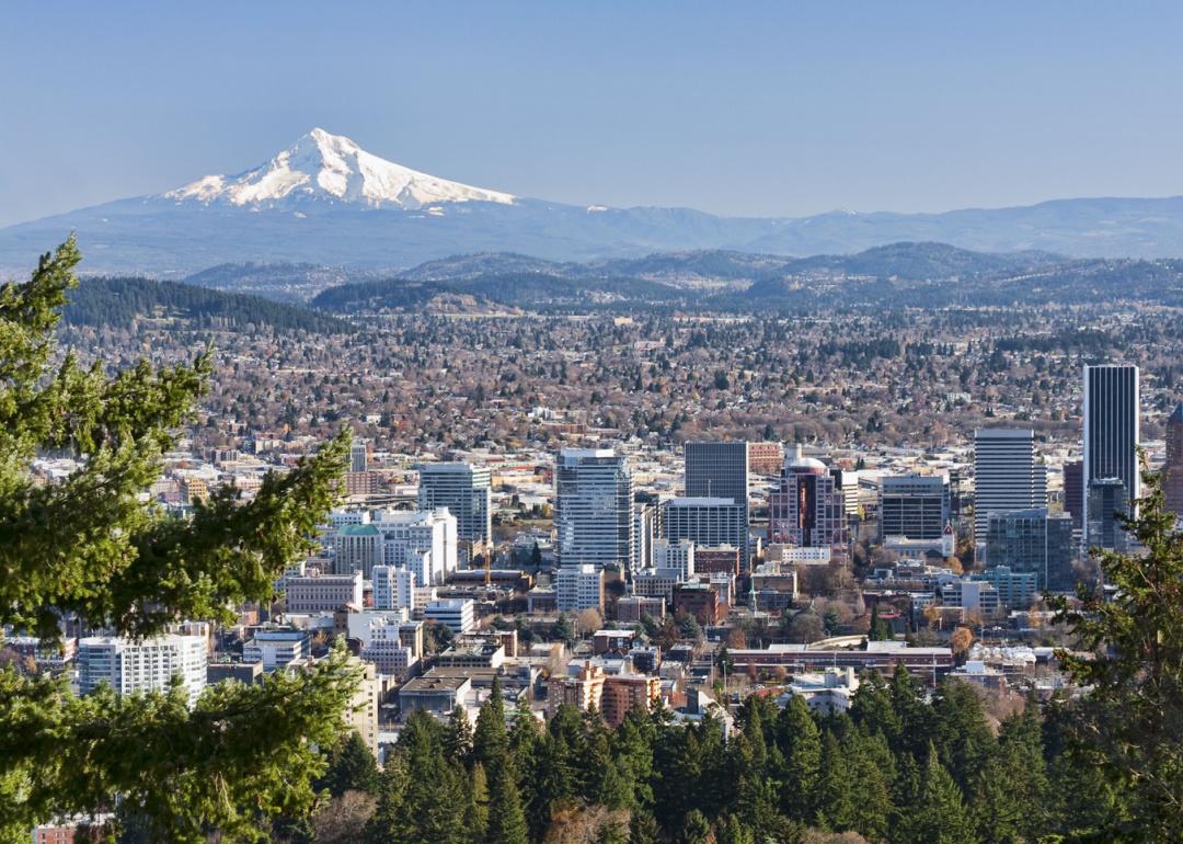 Cityscape from Pittock Mansion.