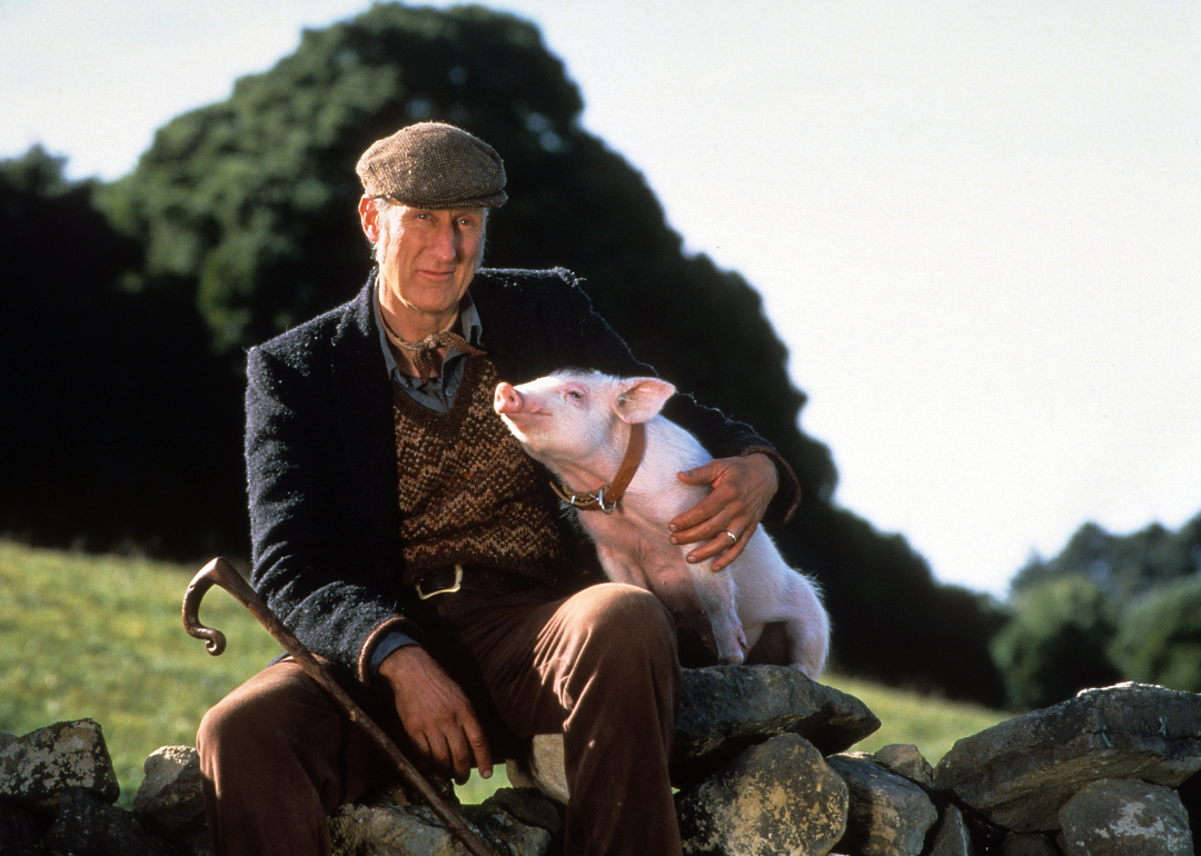 James Cromwell with Babe in a scene from the film ‘Babe’.