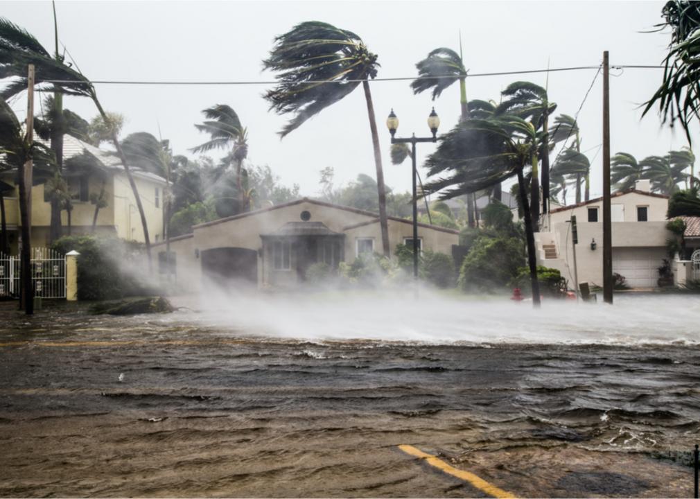 Photo shows trees blowing in strong winds with debris and water in the street