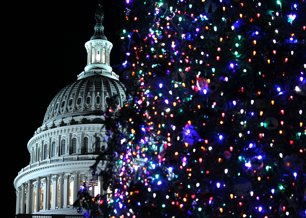 The 2012 Capitol Christmas Tree lit up at night.