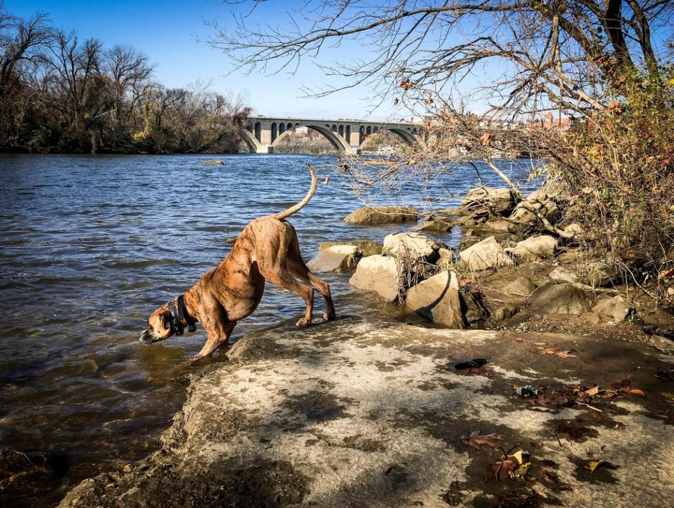 #15. Washington, DC