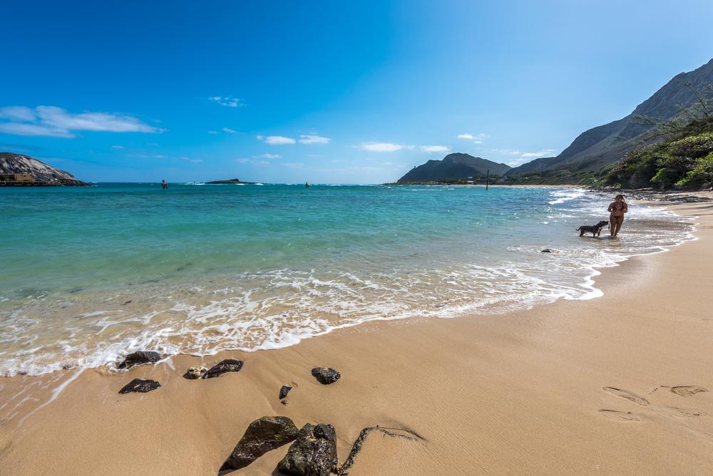 #29. Honolulu, HI