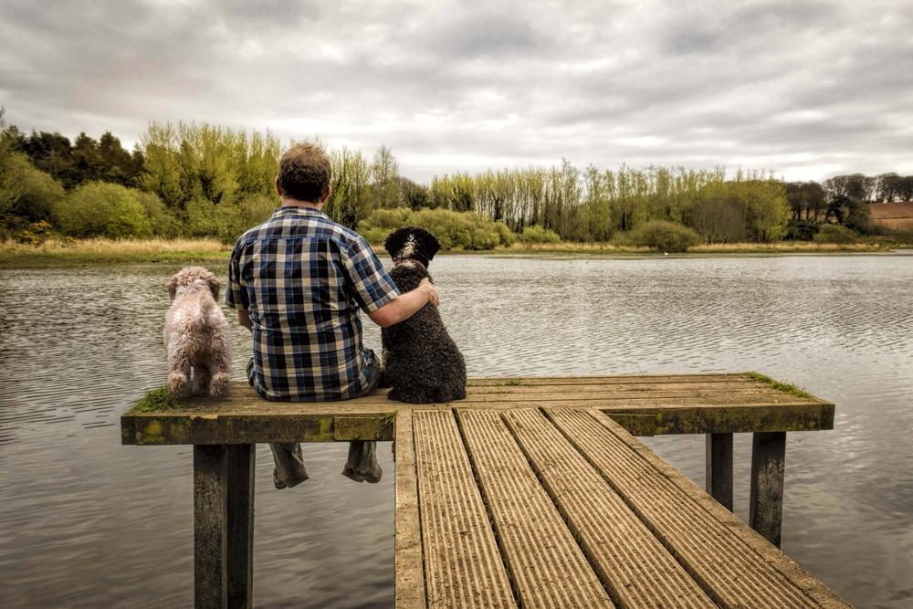 Most popular male dog names
