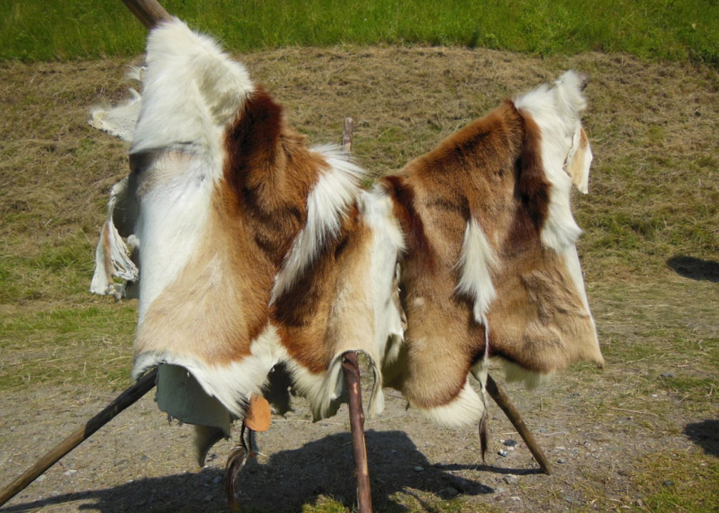#28. Products of animal origin, nesoi