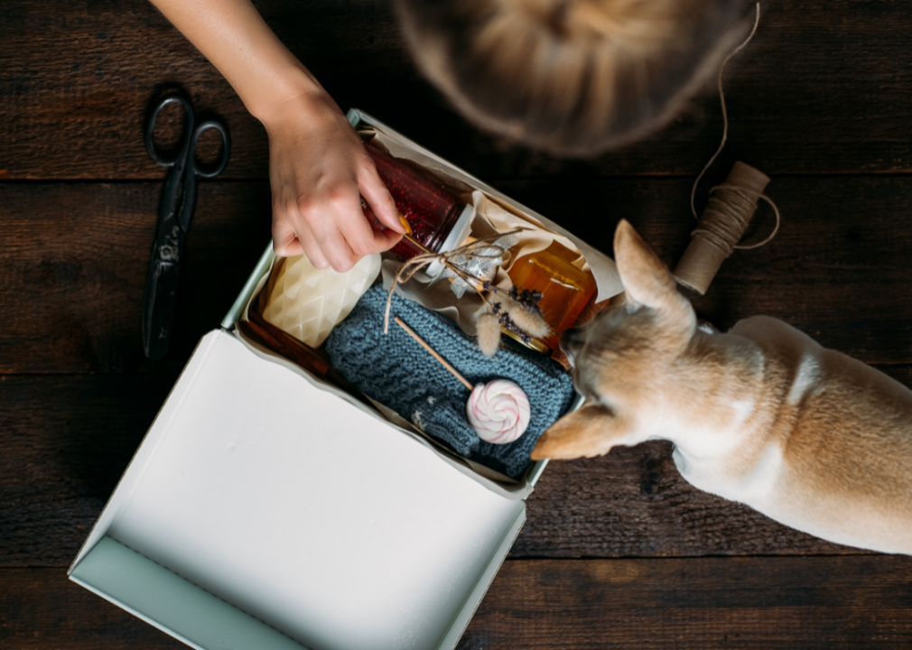 A woman and her Chihuahua open a subscription box with various items inside.