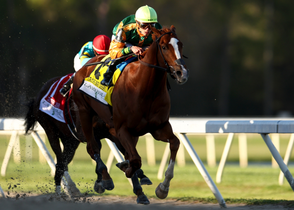 Irad Ortiz Jr. rides Classic Causeway to victory in the Tampa Bay Derby in 2022