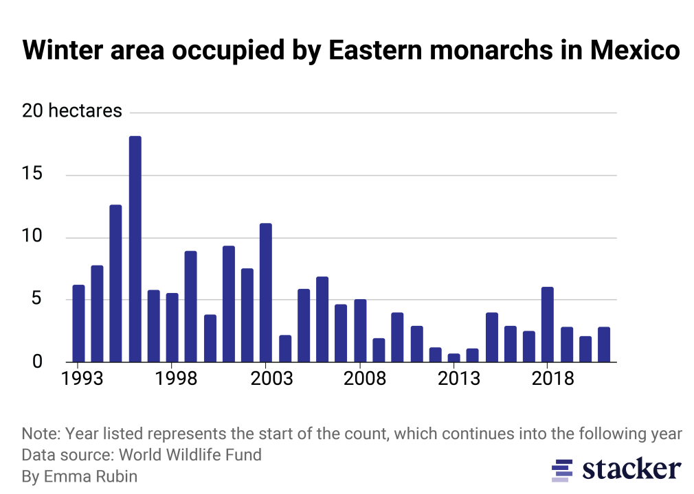Bar chart showing decline of eastern monarch population counts