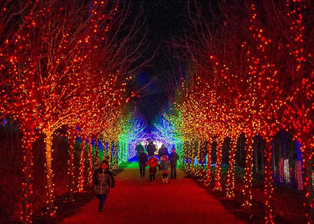 Close to 200,000 lights decorate a winter wonderland in Stockbridge, Mass., near Lenox.