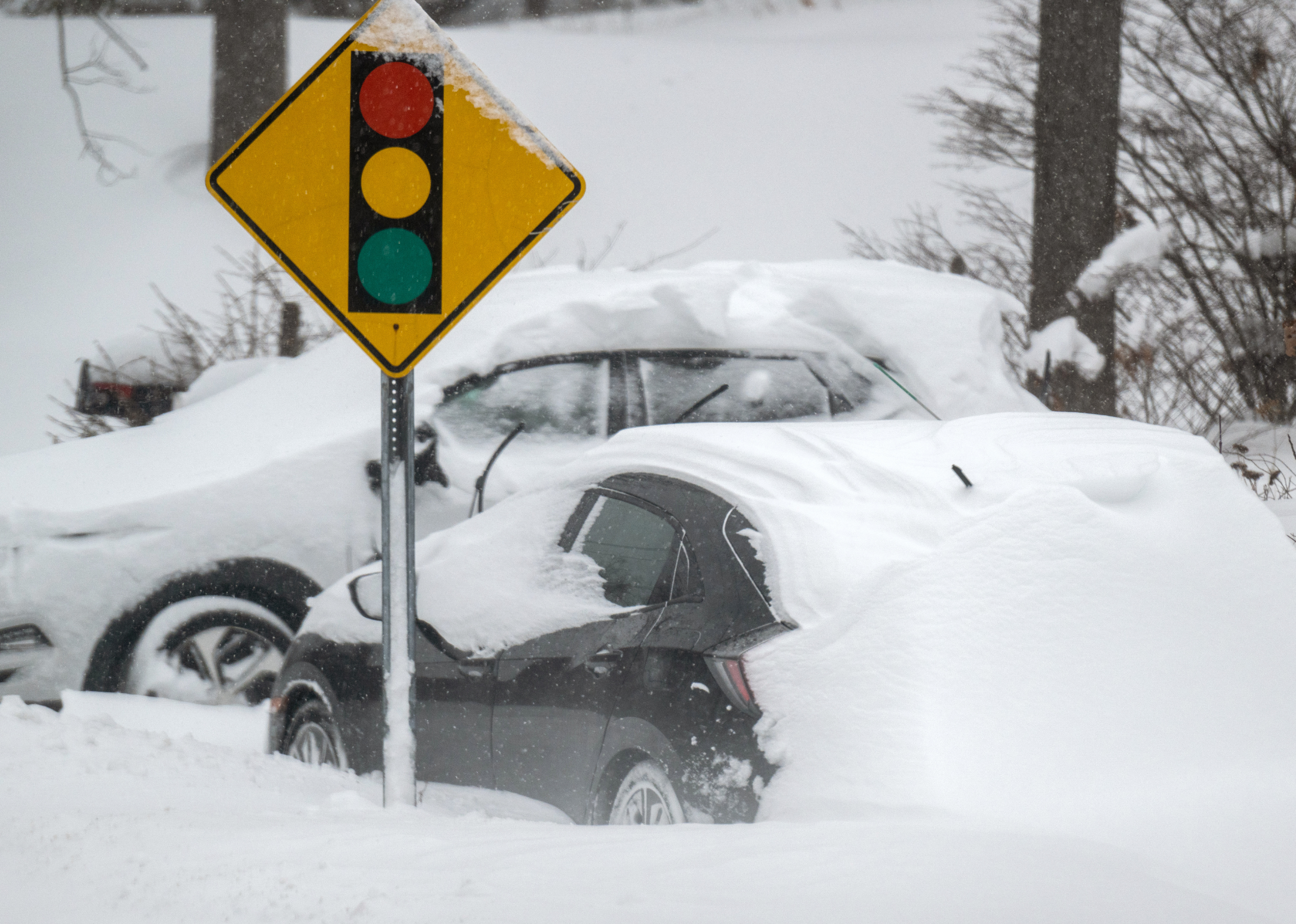 What winter was like the year you were born