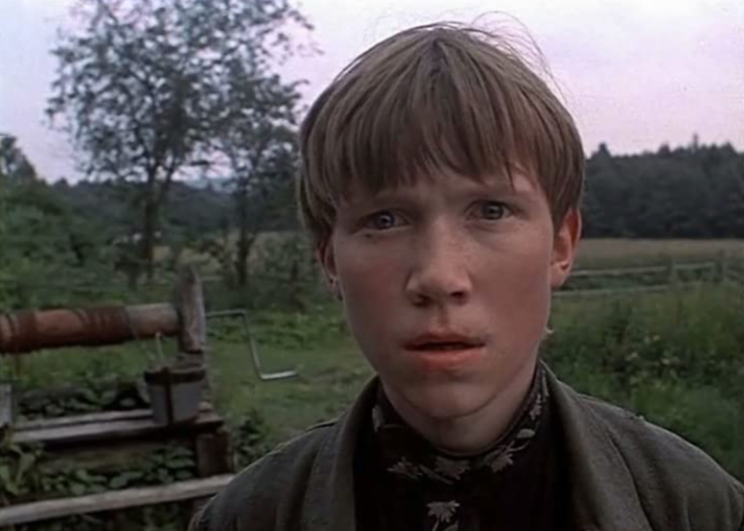 A young boy stands in a field looking into the distance.