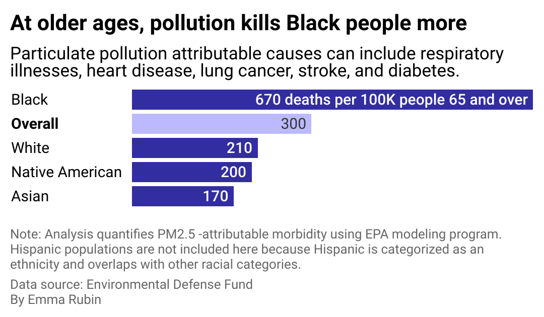Bar chart showing higher death rate from pollution-related deaths among Black people.
